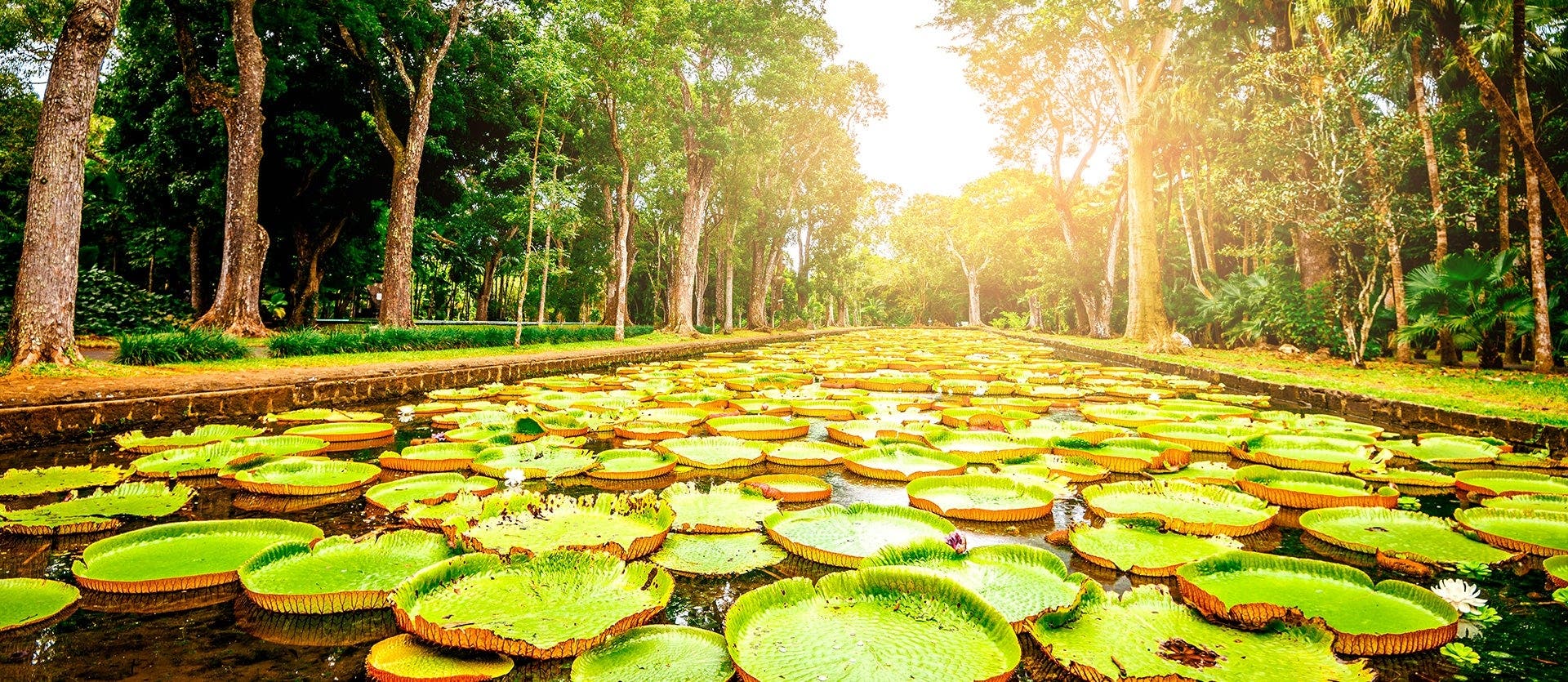 Alluring African Paradise