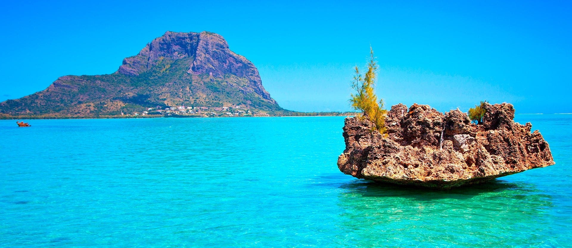 Alluring African Paradise