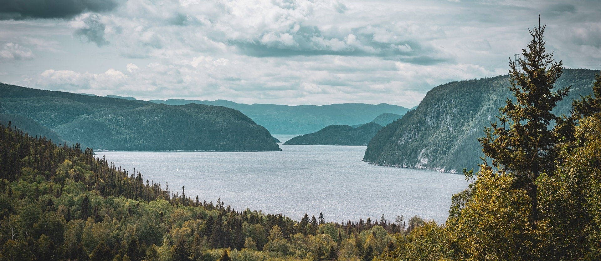 La esencia nativa del este de Canadá