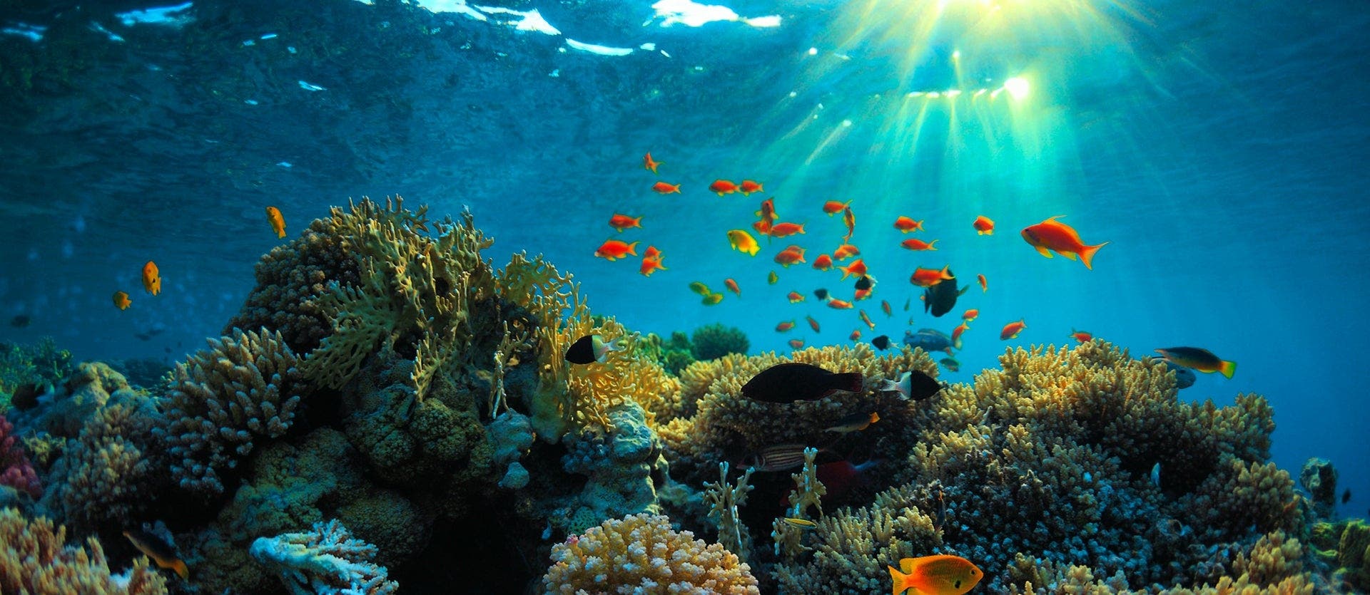 Cities & Natural Wonders of Australia