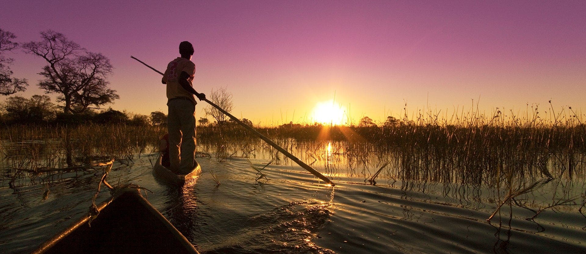 Safaris, Delta del Okavango y Cataratas