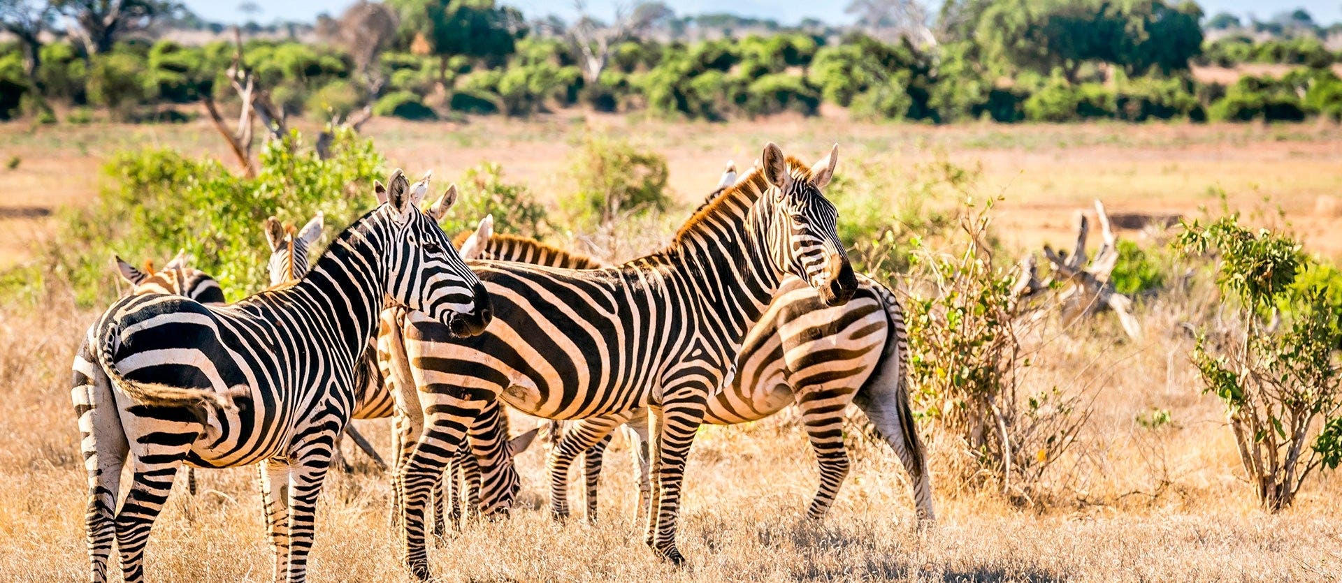 Wonderful Wildlife and White-Sand Beaches