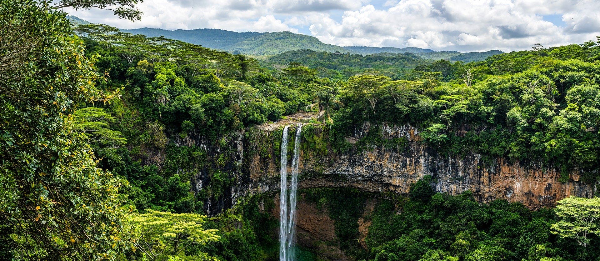 Wildlife Safaris & Paradise Island Getaway