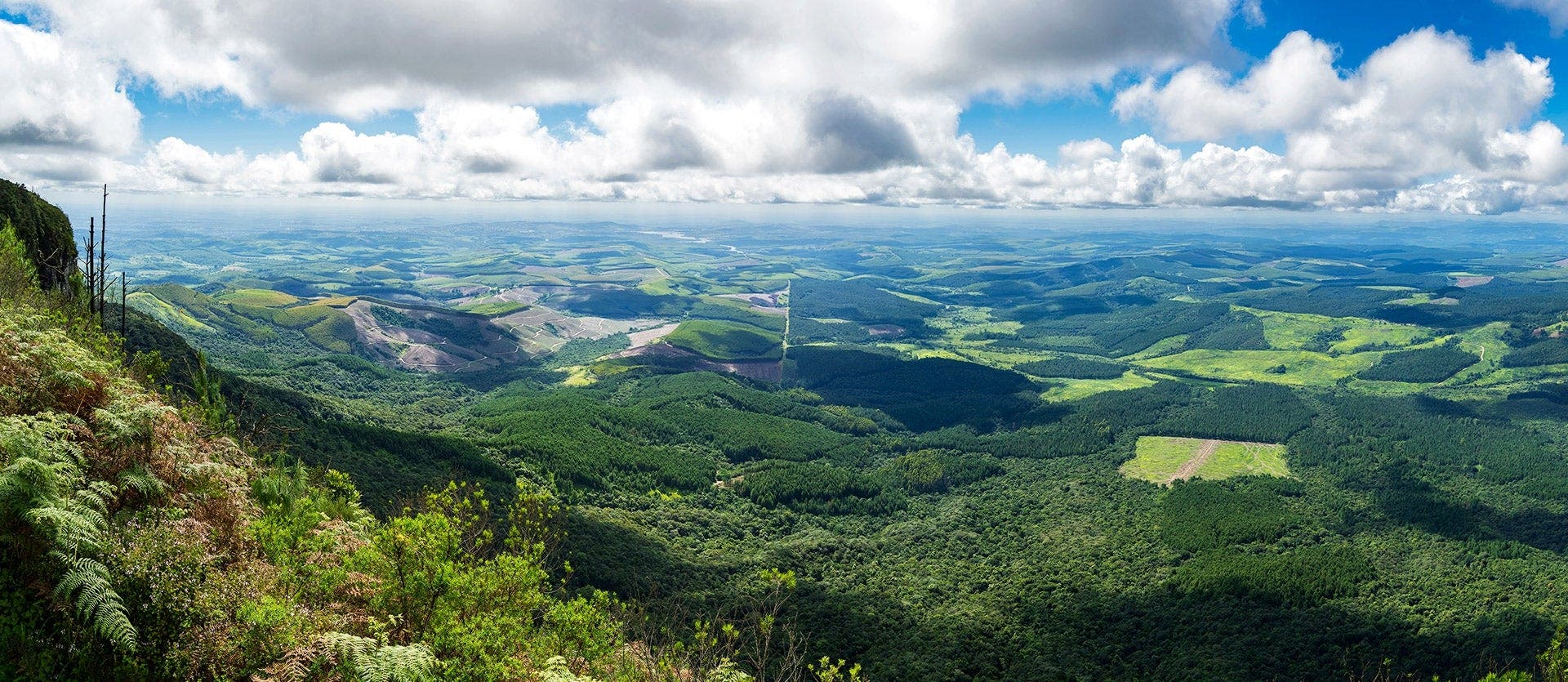 Wildlife Safaris & Paradise Island Getaway