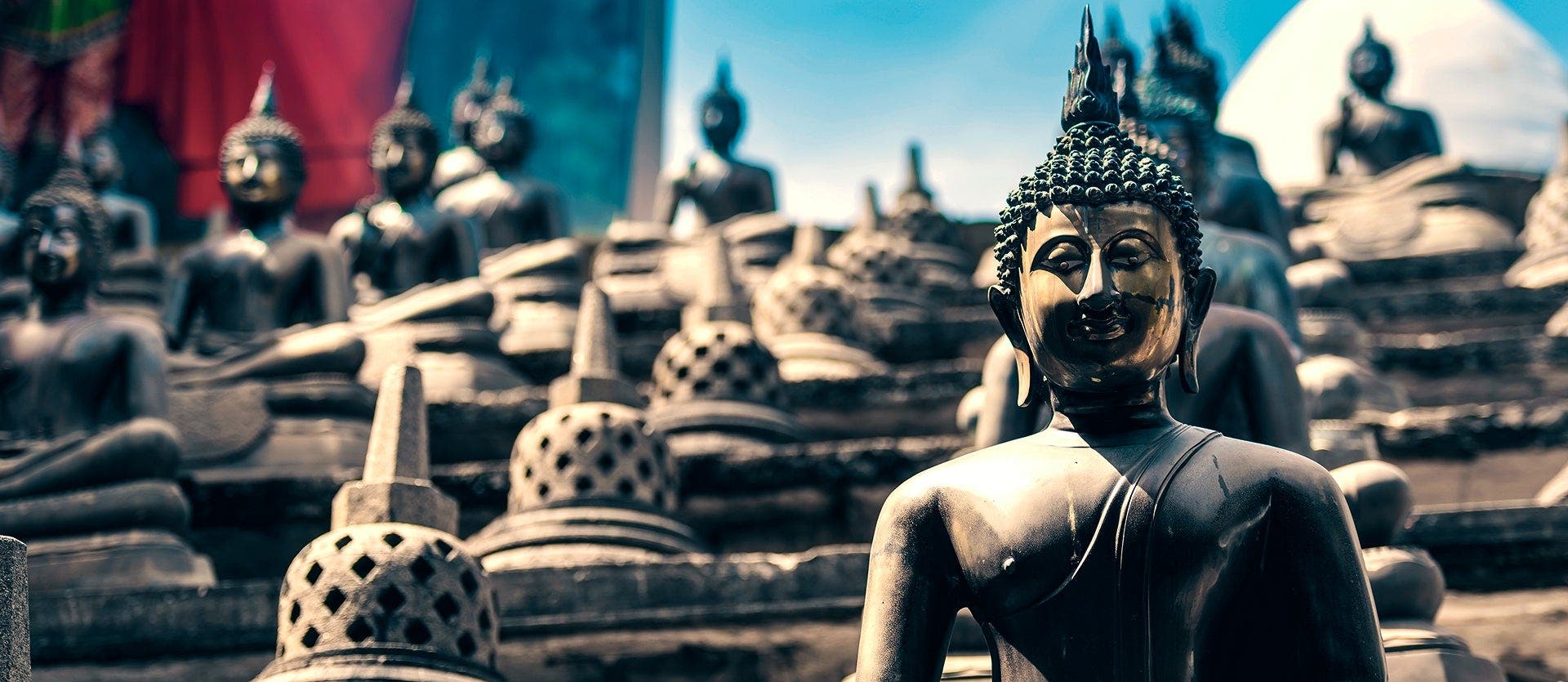 India & Sri Lanka: A Golden Adventure