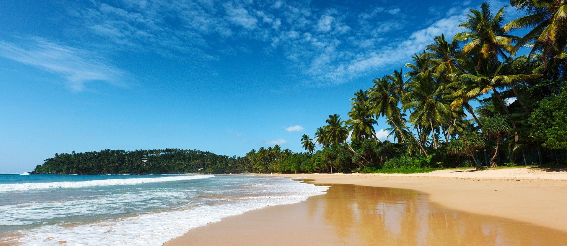 Golden Sri Lanka: Journey of Wonders