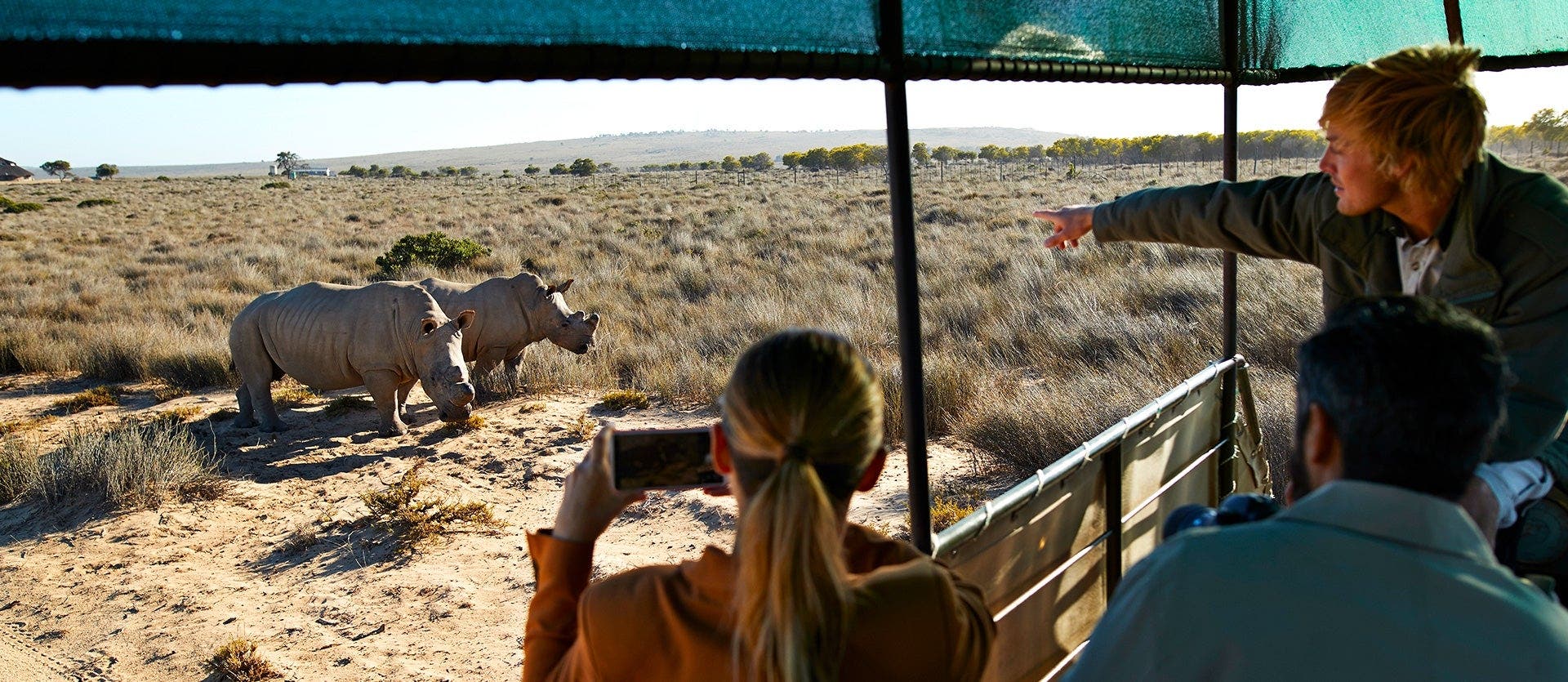 Familias: safari, playas y Table Mountain 