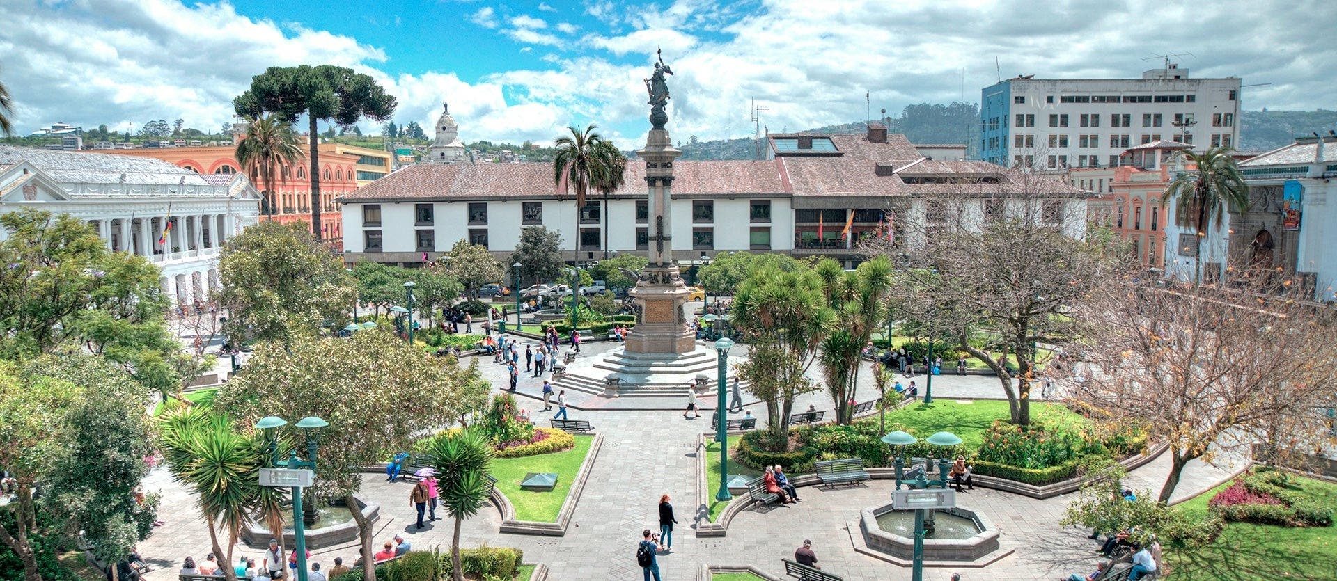 Familias: Galápagos, Quito y bosque nuboso