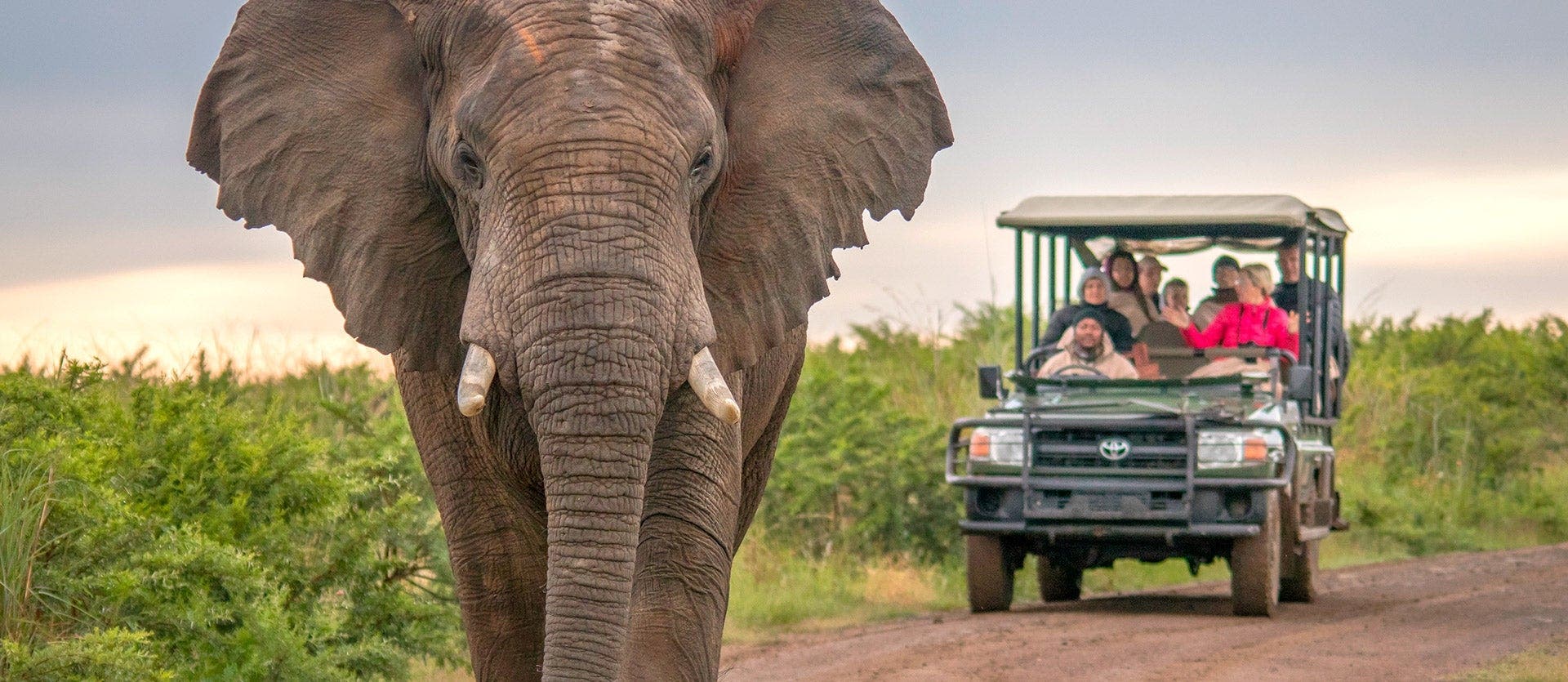 Family: Maasai Mara & Mombasa Beach Relax