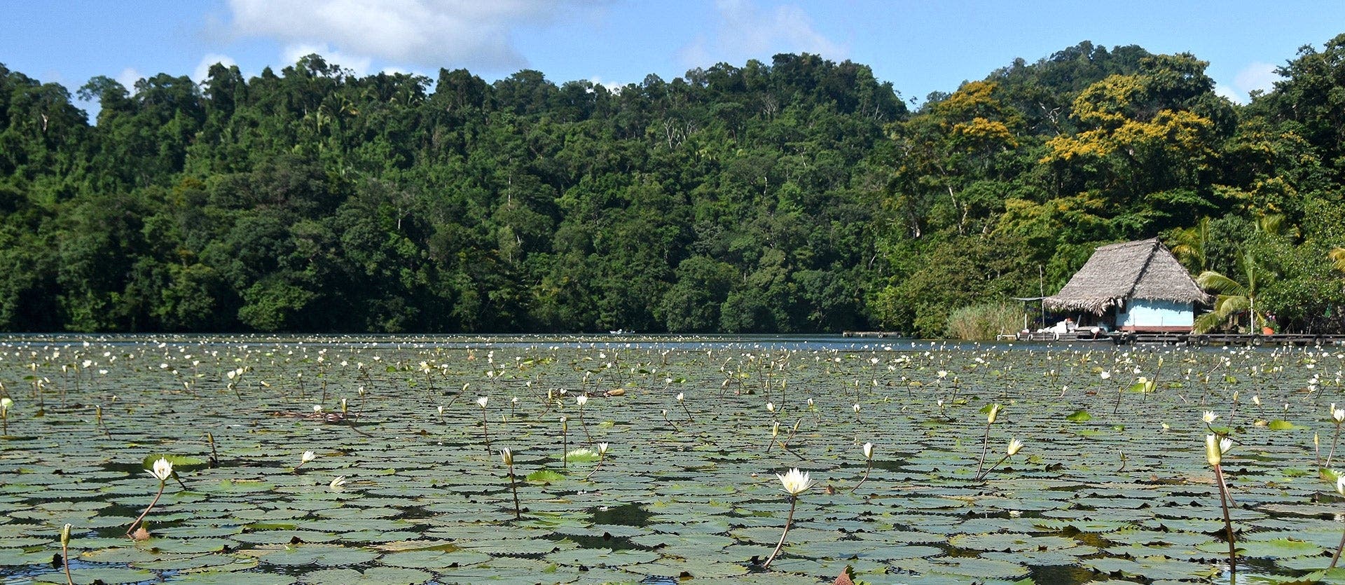Maravillas del Triángulo Maya
