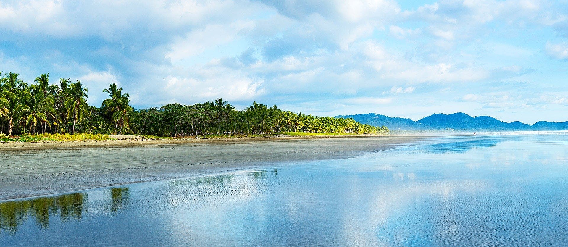 Monteverde Cloud Forest & Playa Hermosa