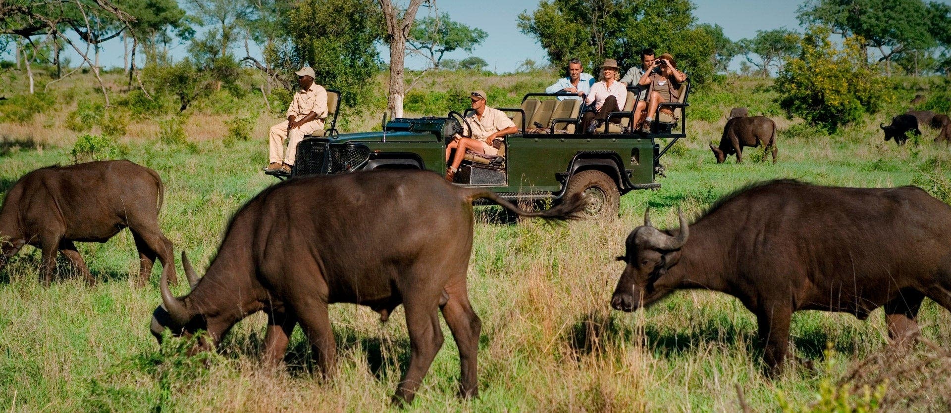 Familias: safari, playas y Table Mountain