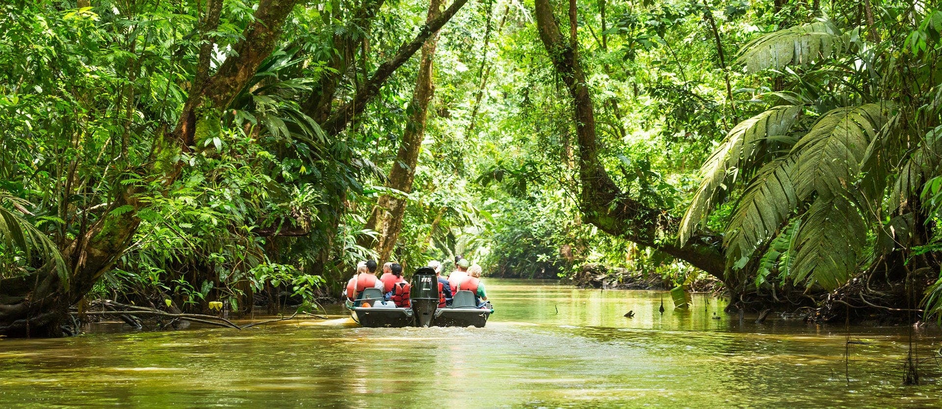 Familias: Tortuguero, Arenal y playas