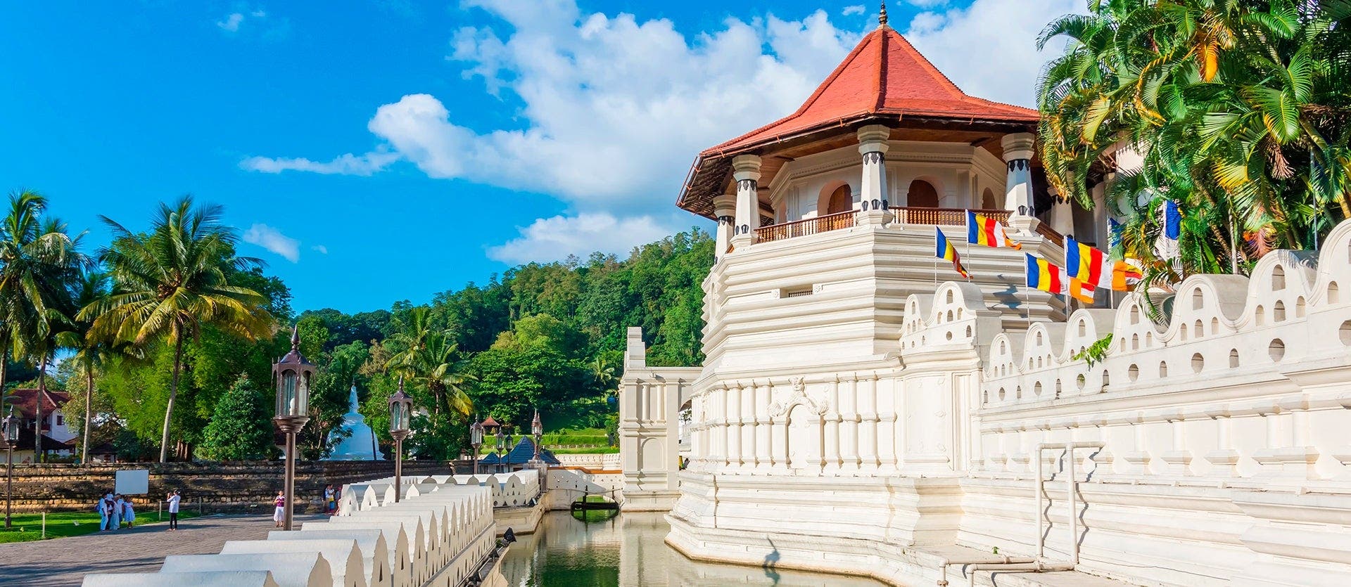 Golden Sri Lanka: Journey of Wonders