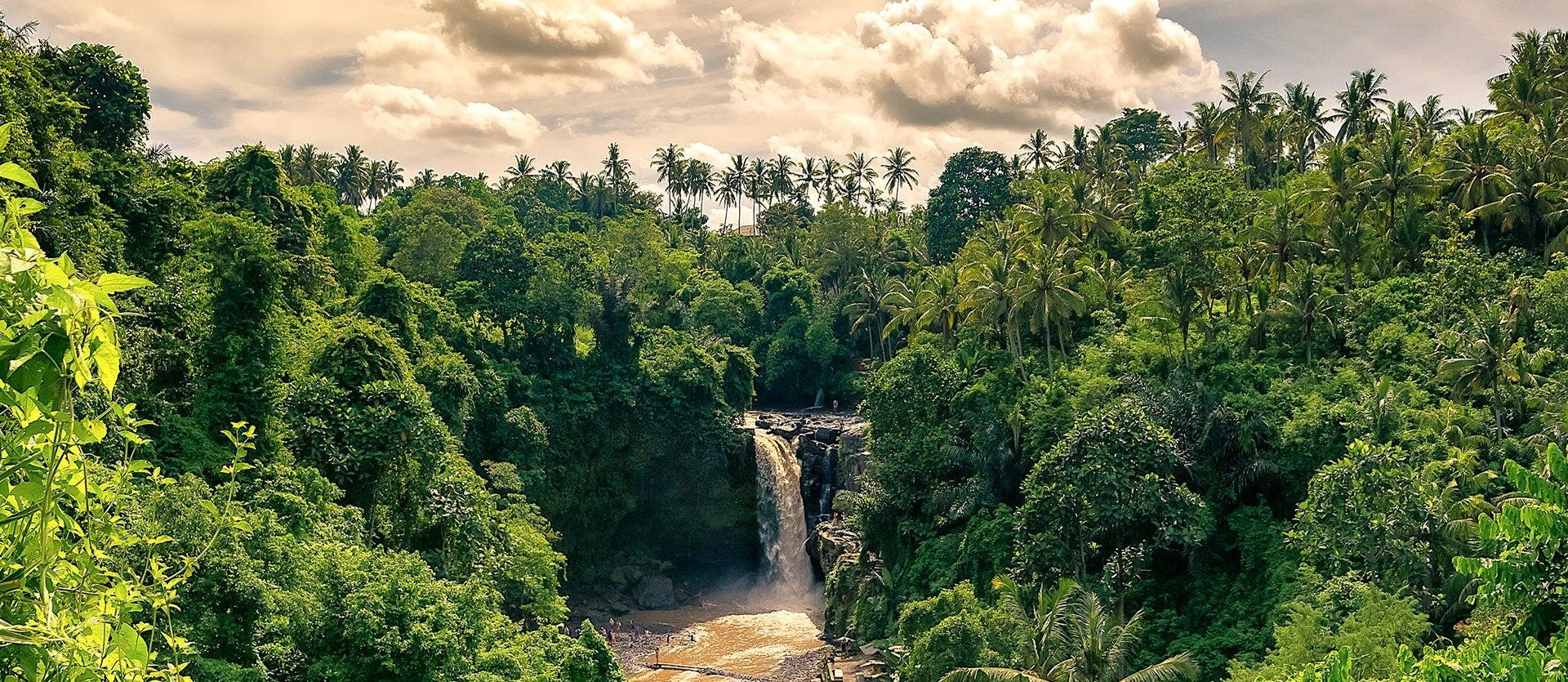 Bali, relax & Komodo dragons