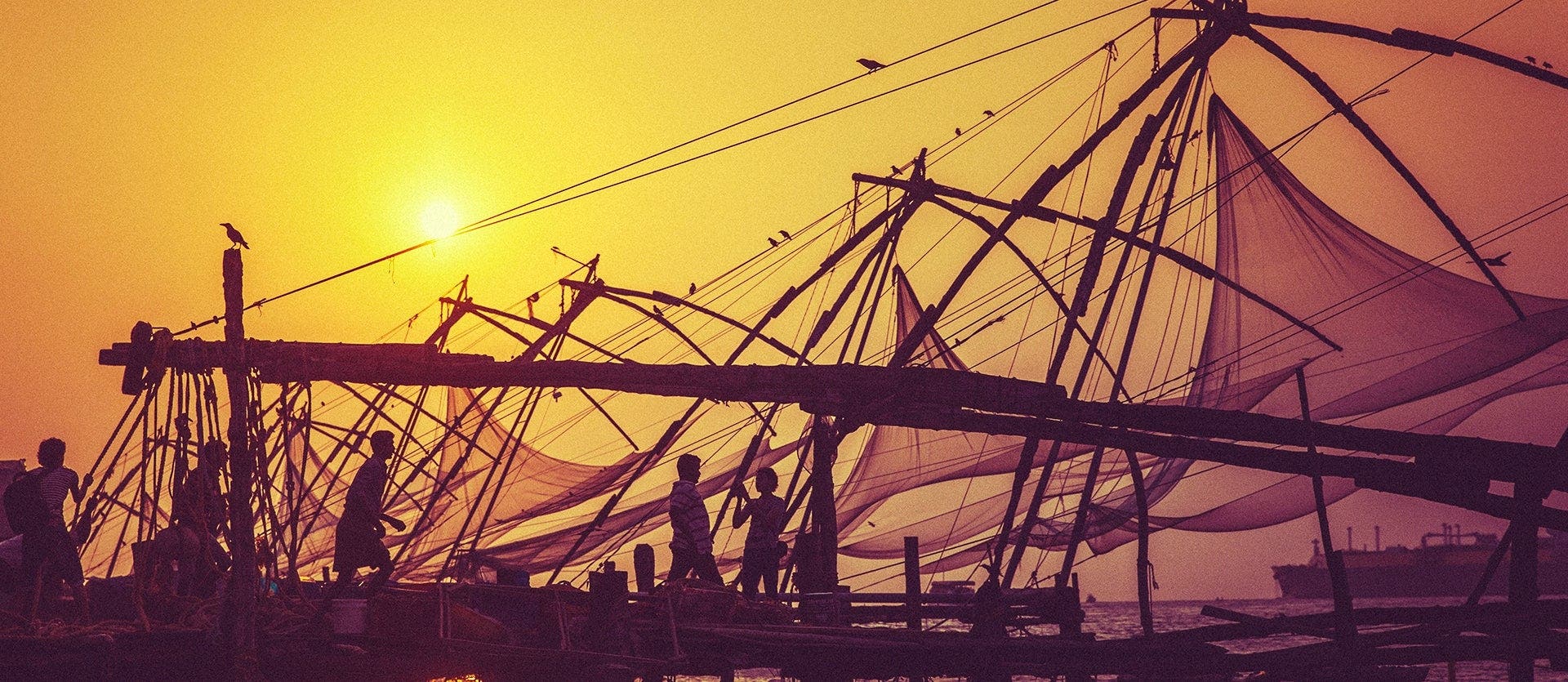 The Golden Triangle & Kerala’s landscapes