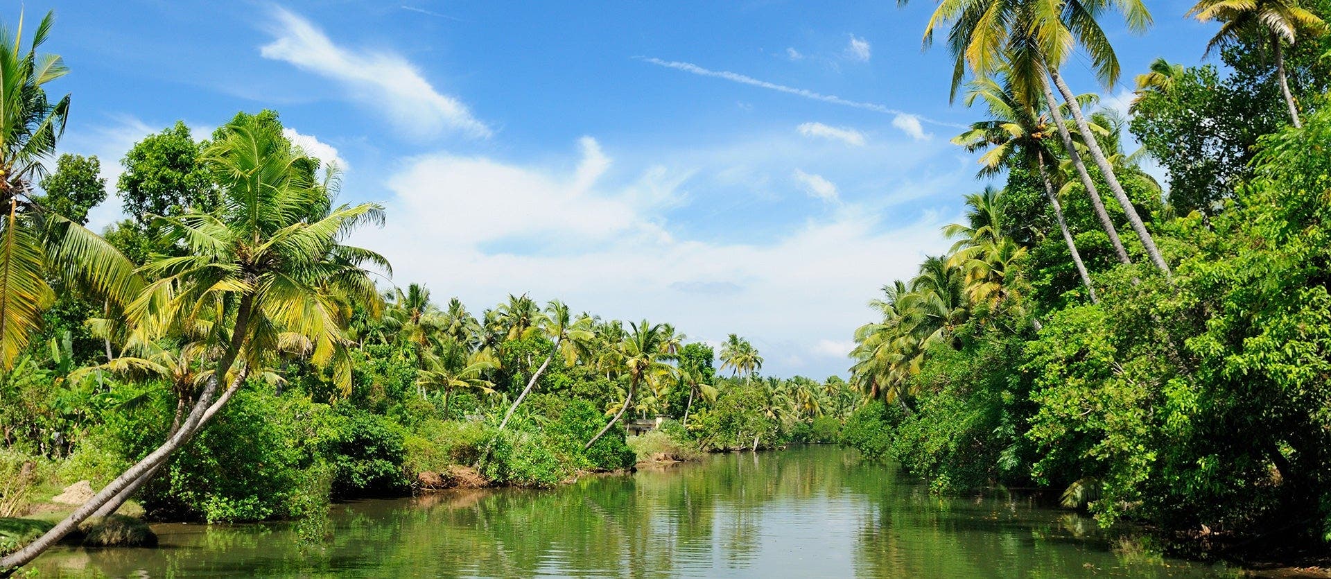 Triángulo Dorado y paisajes de Kerala