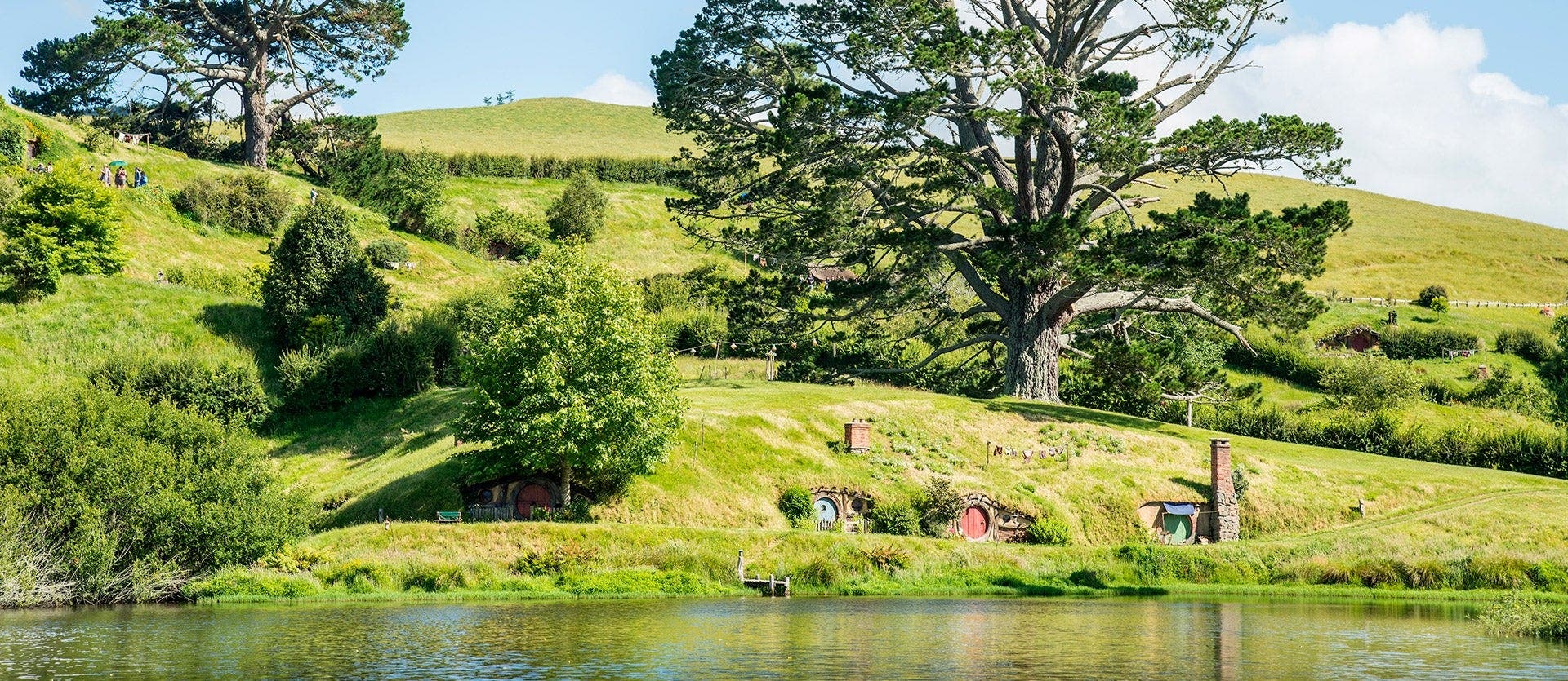 Southern Alps & natural wonders