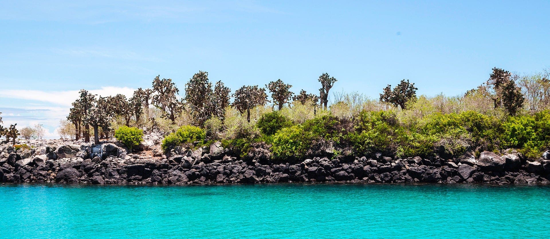 Galapagos Cruise & Wild Amazon Immersion