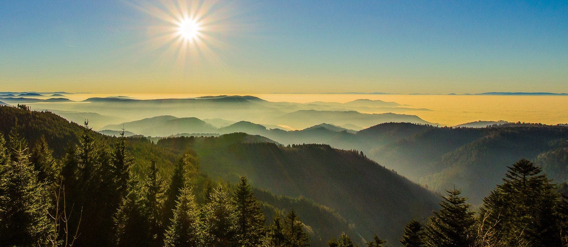 The Black Forest, Alsace & Champagne