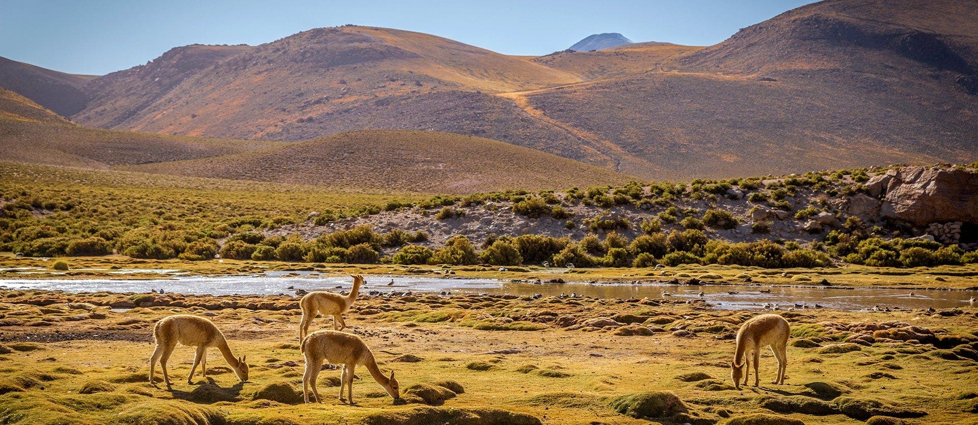 Chile 360: Santiago, Patagonia & Atacama