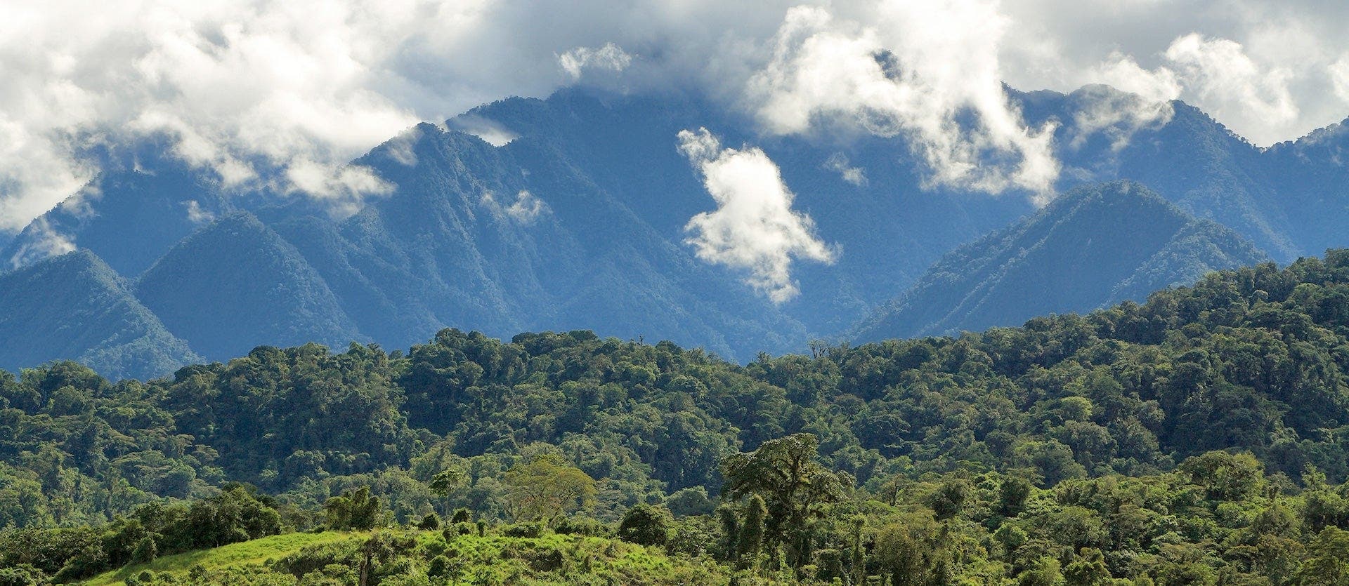 Galapagos Cruise & Wild Amazon Immersion