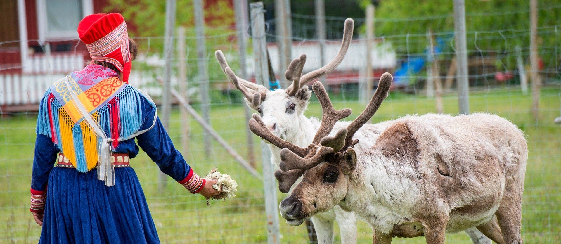 Northern expedition: Lofoten & Tromsø