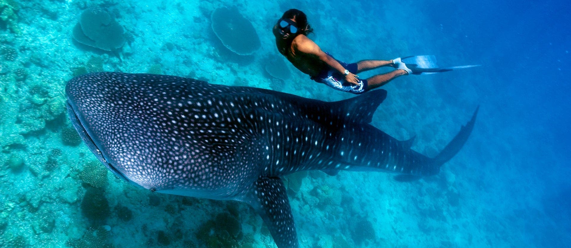 Sri Lanka’s secrets & Maldives’ magic