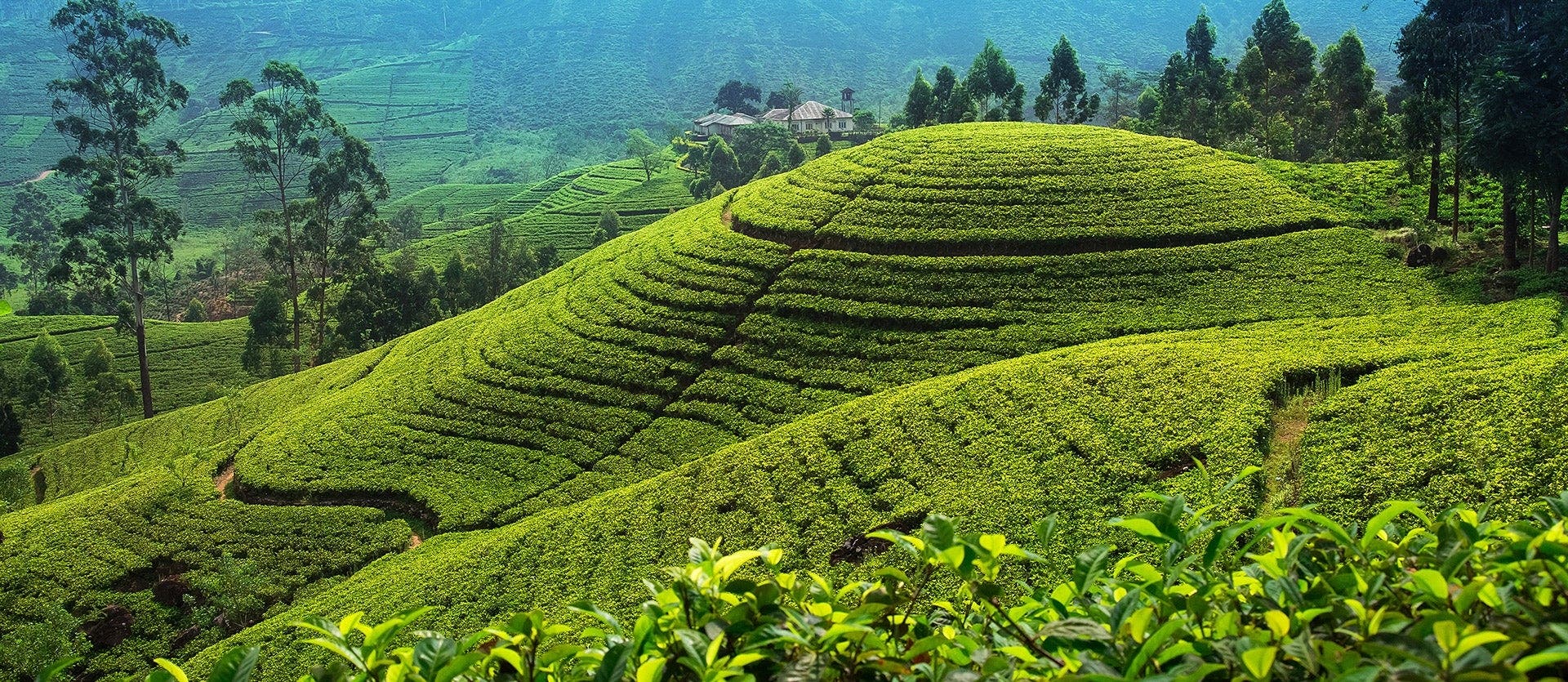 Sri Lanka’s secrets & Maldives’ magic