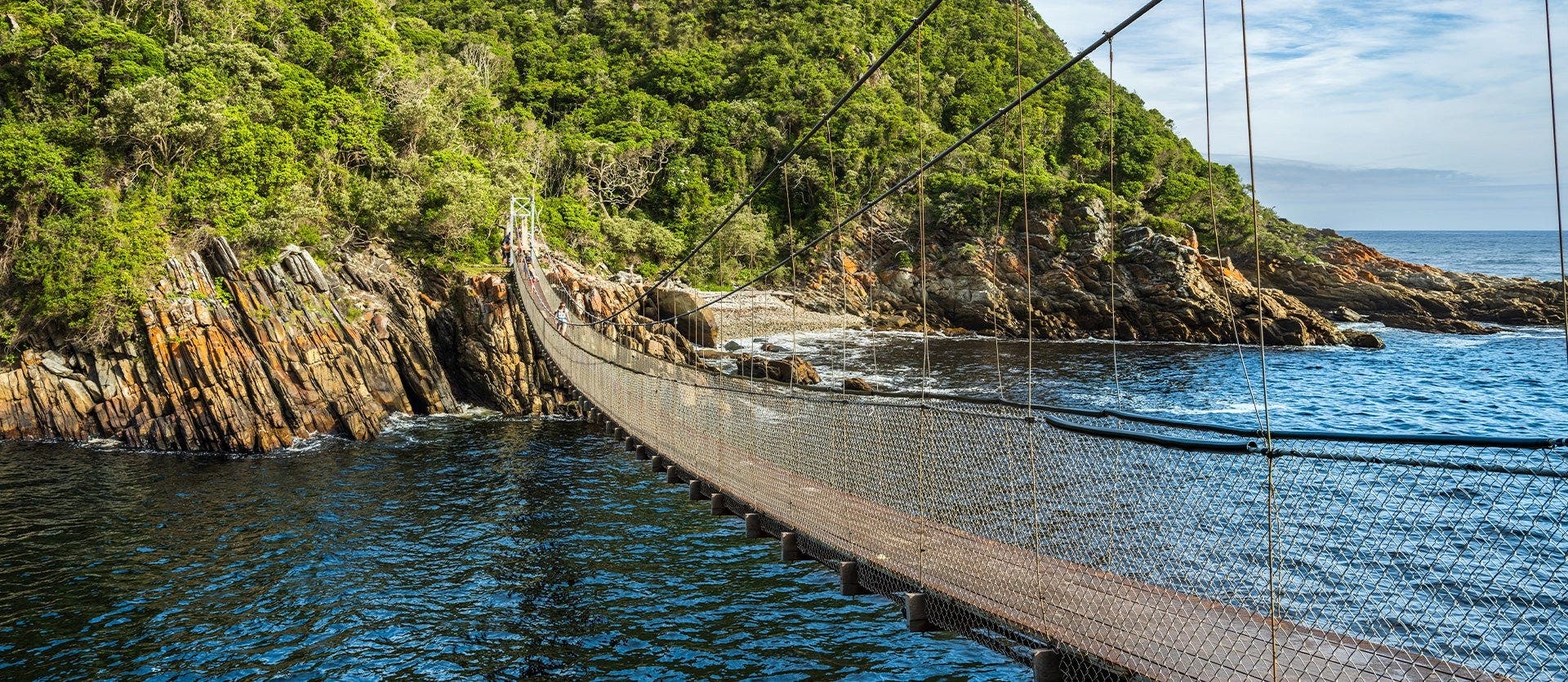 Safaris, Cape & Garden Route