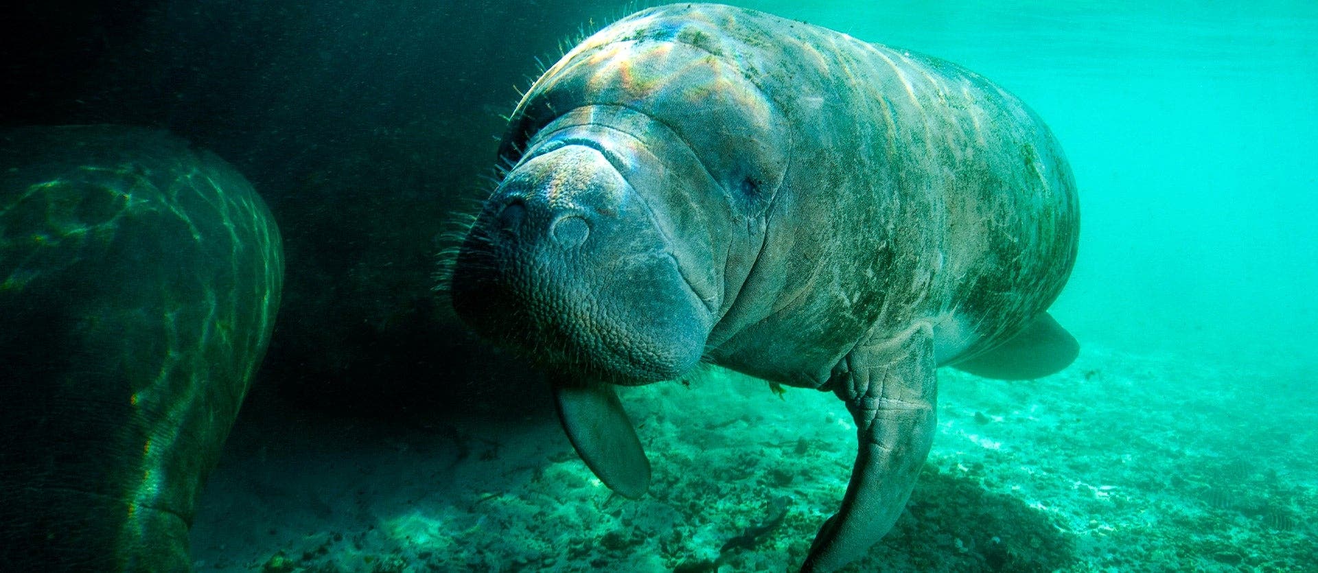 From Miami’s Beaches to Key West