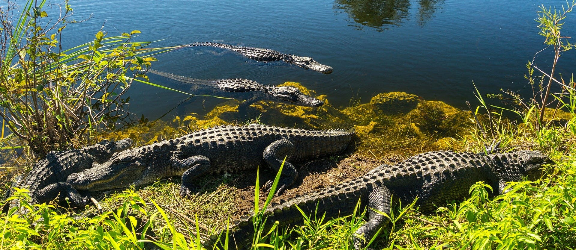 From Miami’s Beaches to Key West