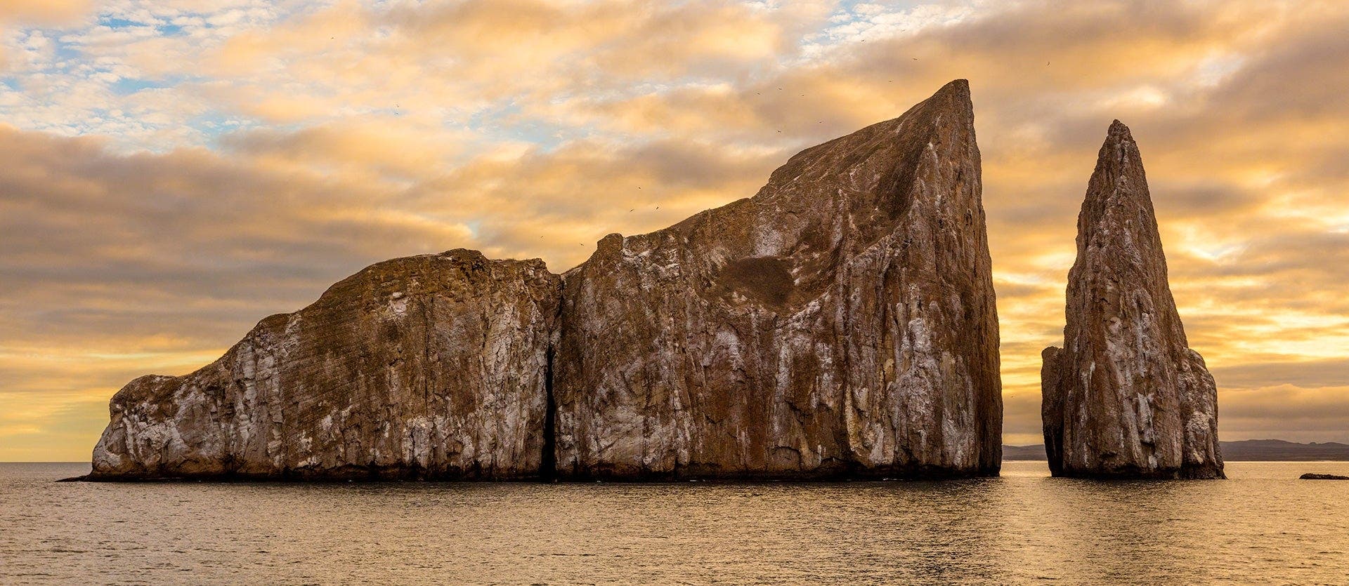 Amazing Ecuador: From Amazon to Galapagos