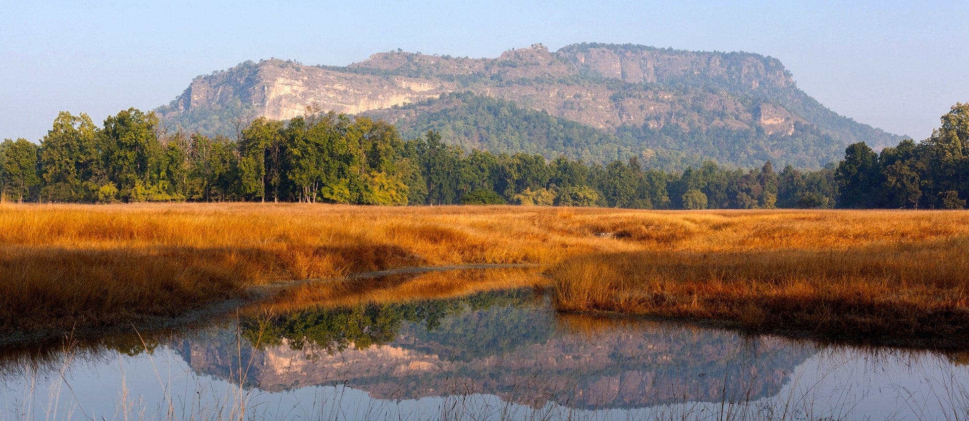 Indian Safari adventure