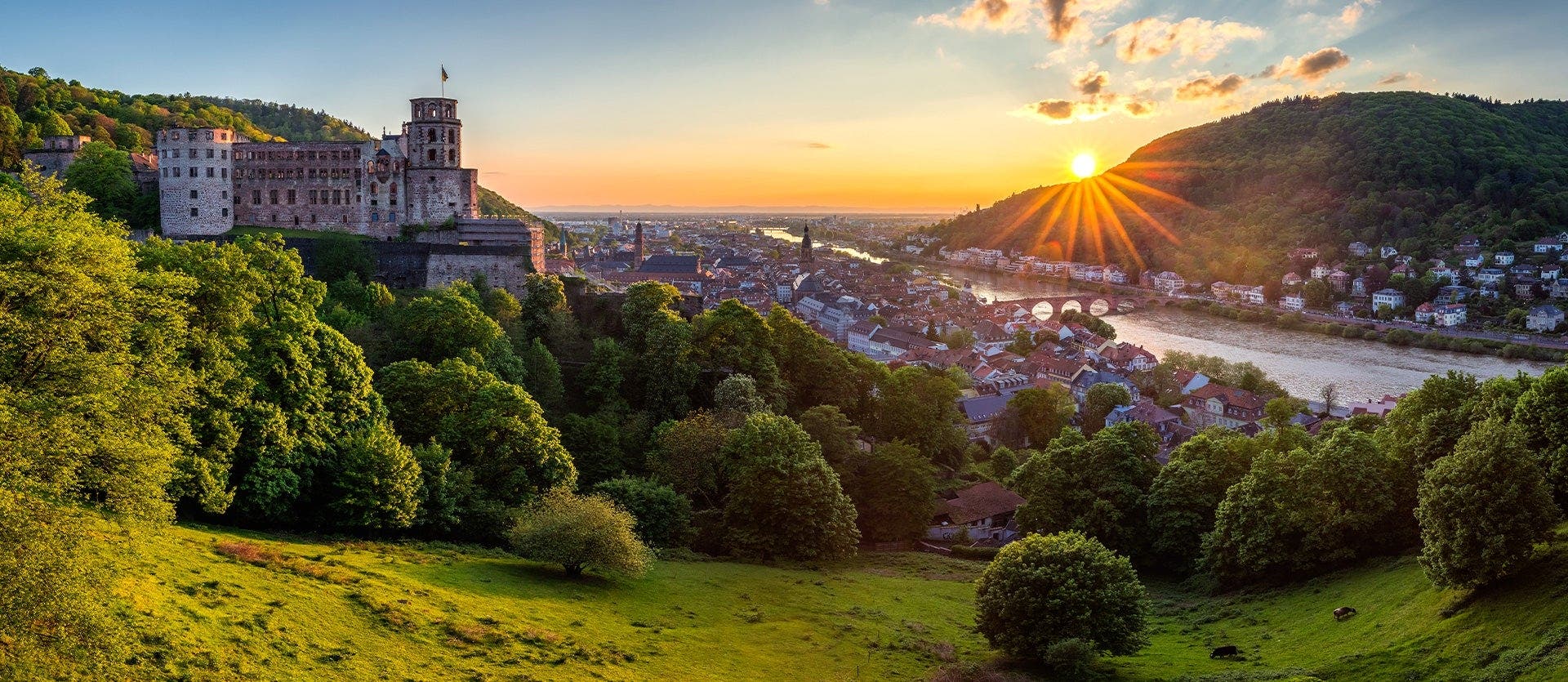 Romantic Germany: Rhine Valley & Bavaria 