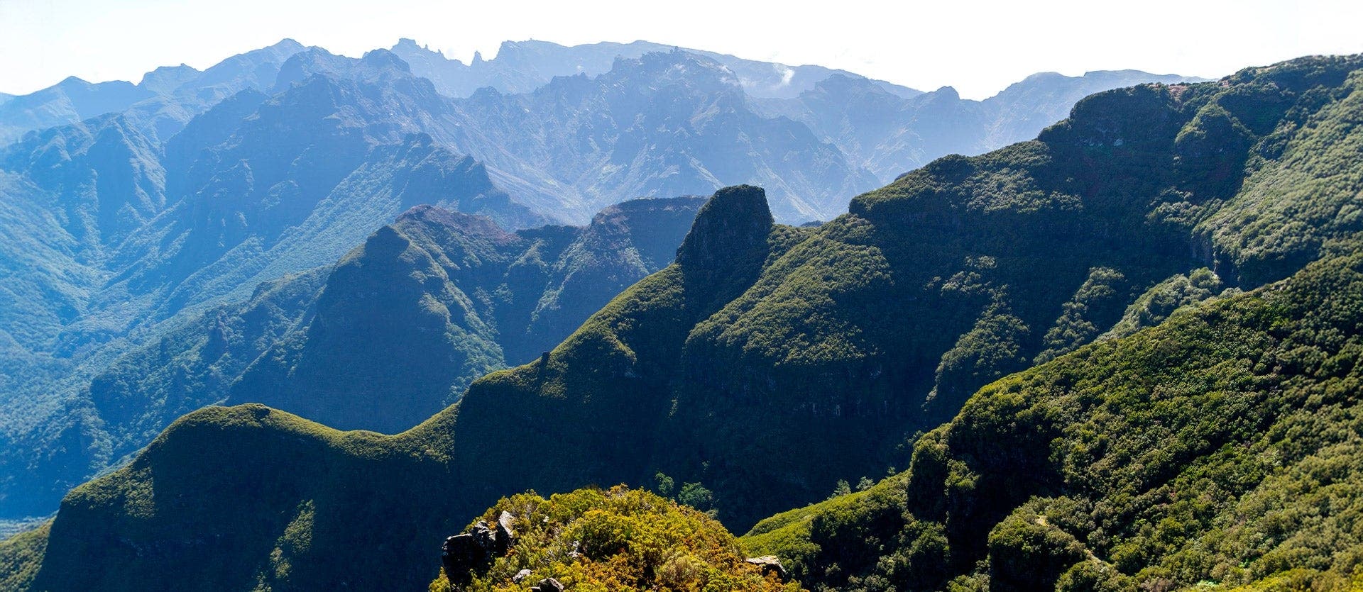 Rutas y sabores de Madeira