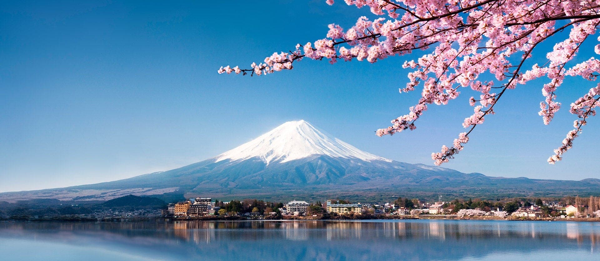 A taste of Japan: Tokyo, Kyoto & Osaka