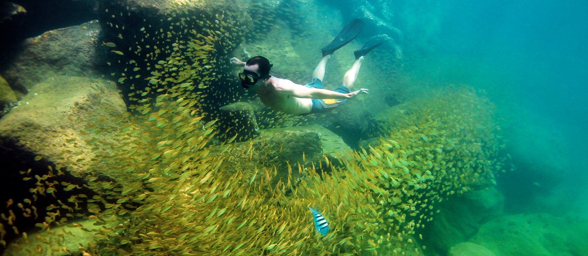 Feel Rio de Janeiro: from sea to soul