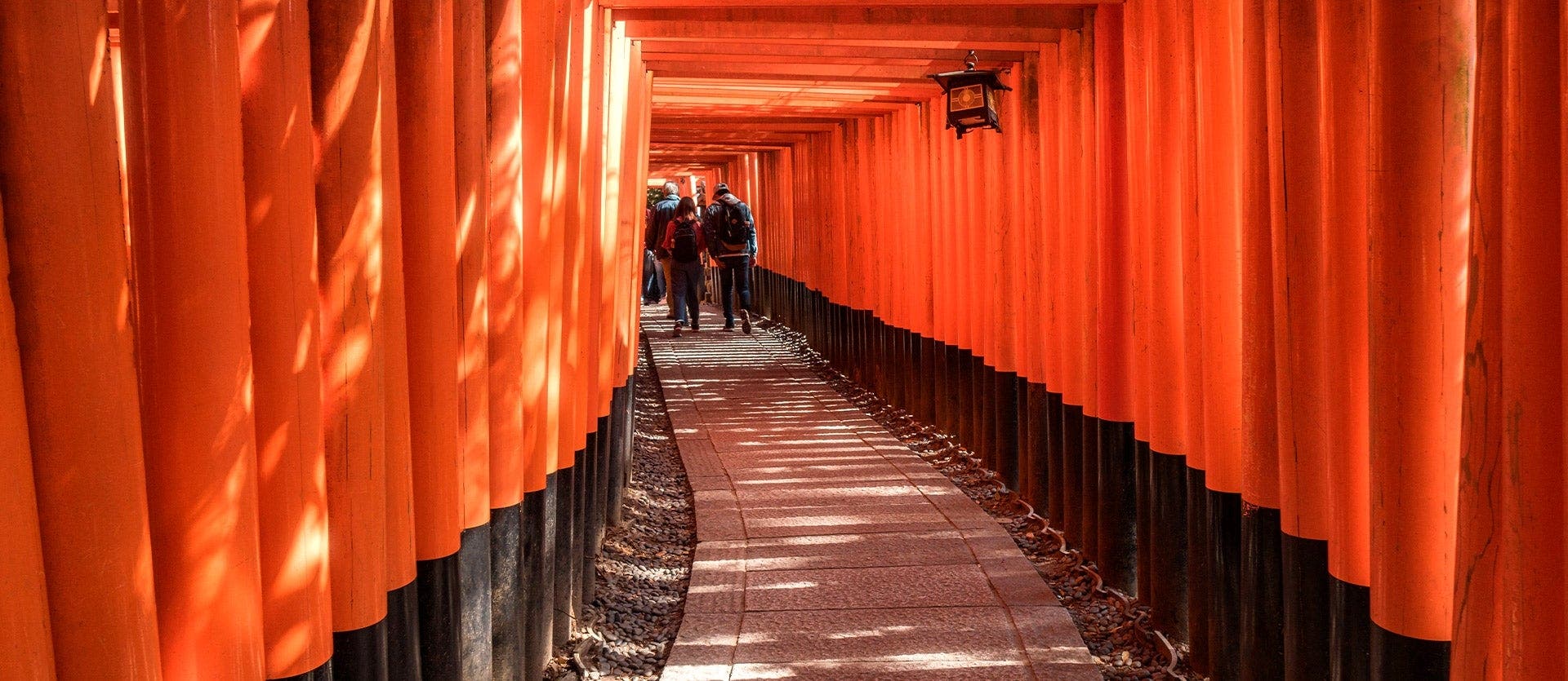 A taste of Japan: Tokyo, Kyoto & Osaka