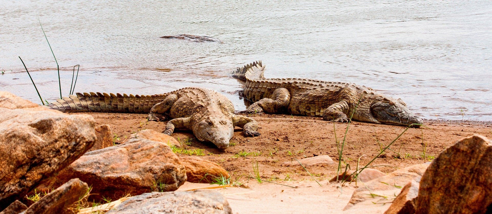 Kenia y Zanzíbar: Safari y Playas