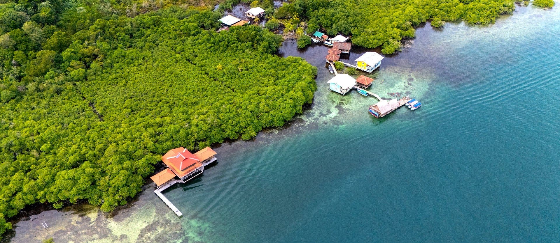 Island to City: Bocas del Toro & Panama