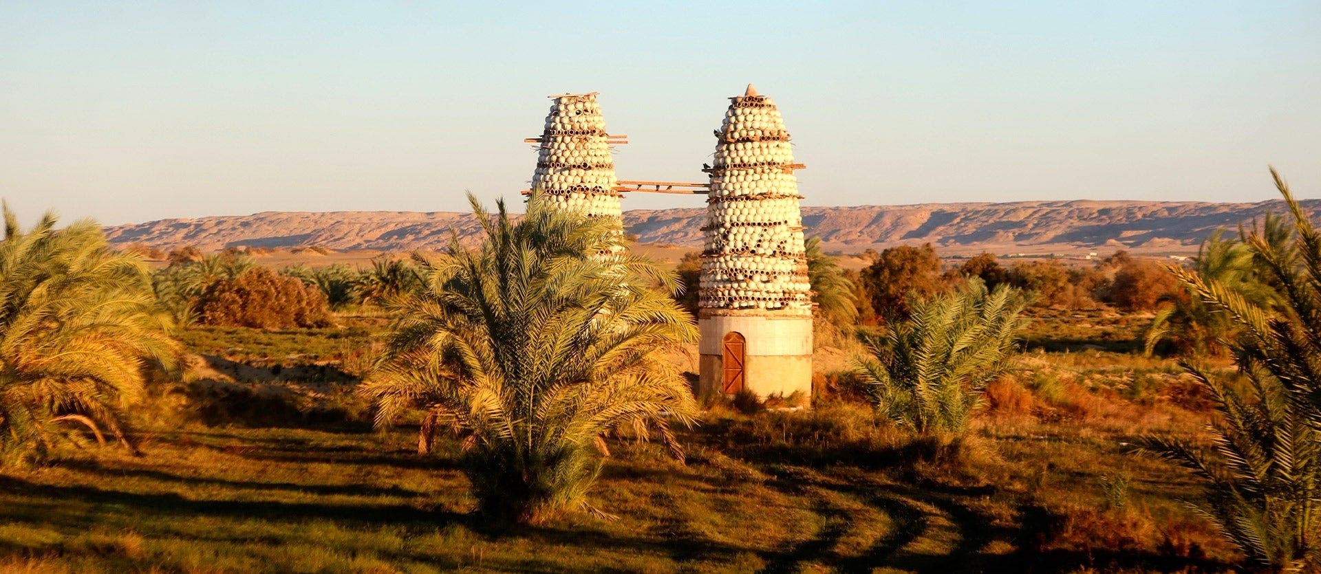 Pyramids, Nile Cruise & White Desert