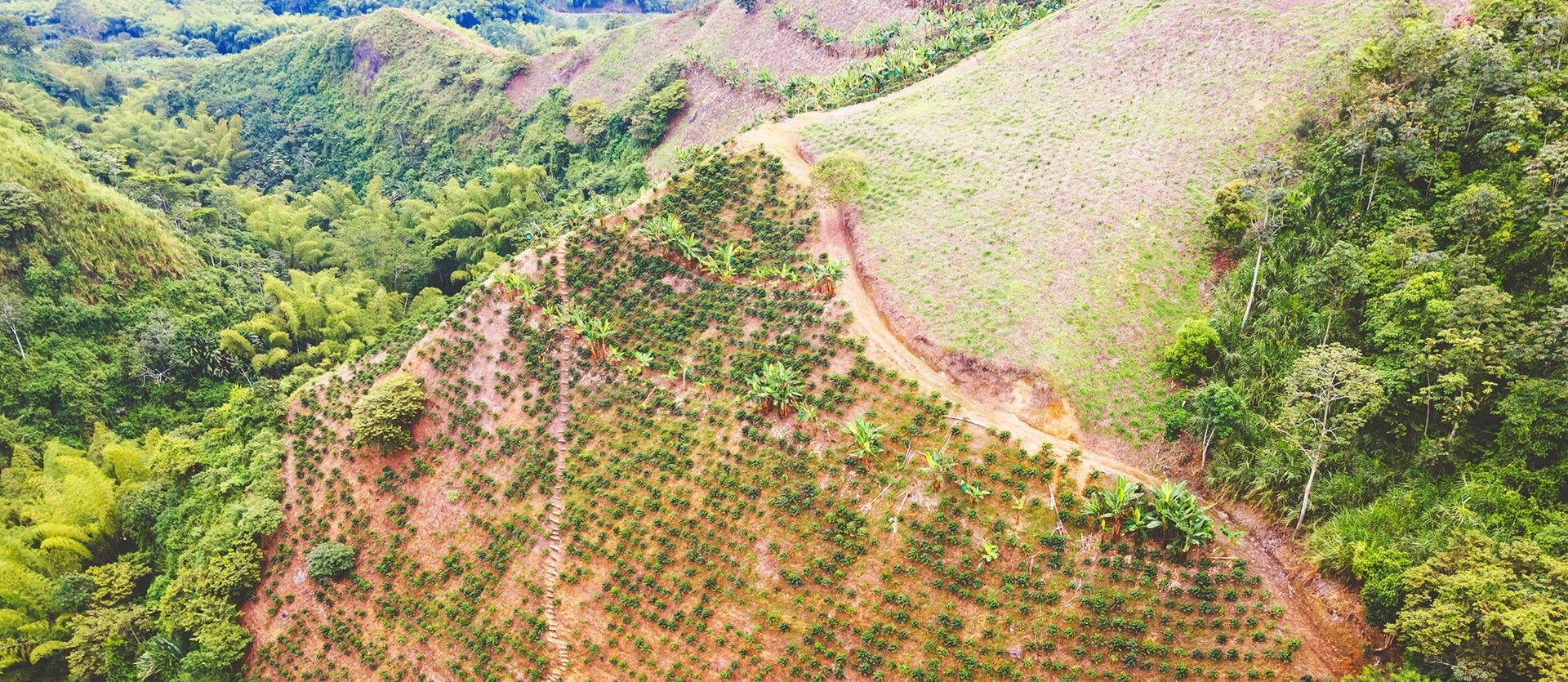 Encantos coloniales y costa caribeña