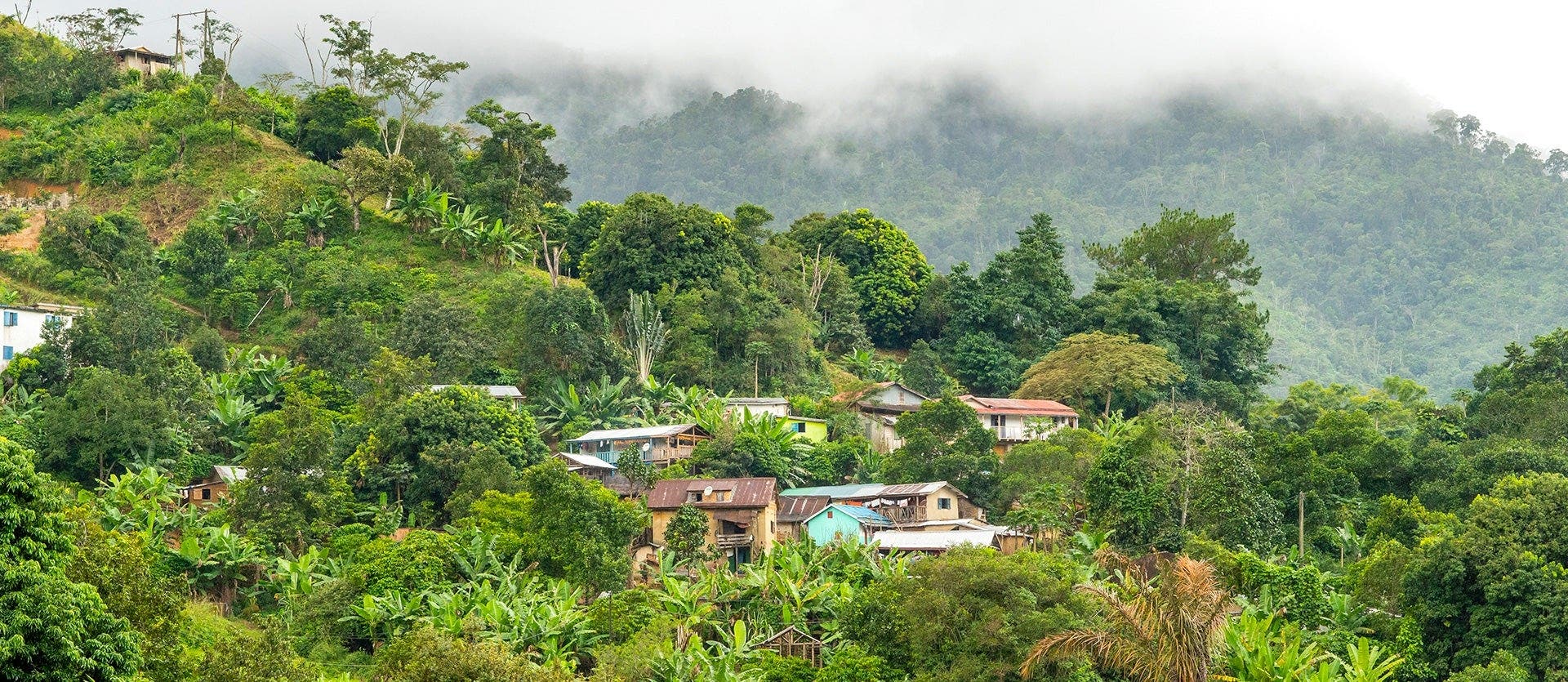 Lémures, baobabs y costa malgache
