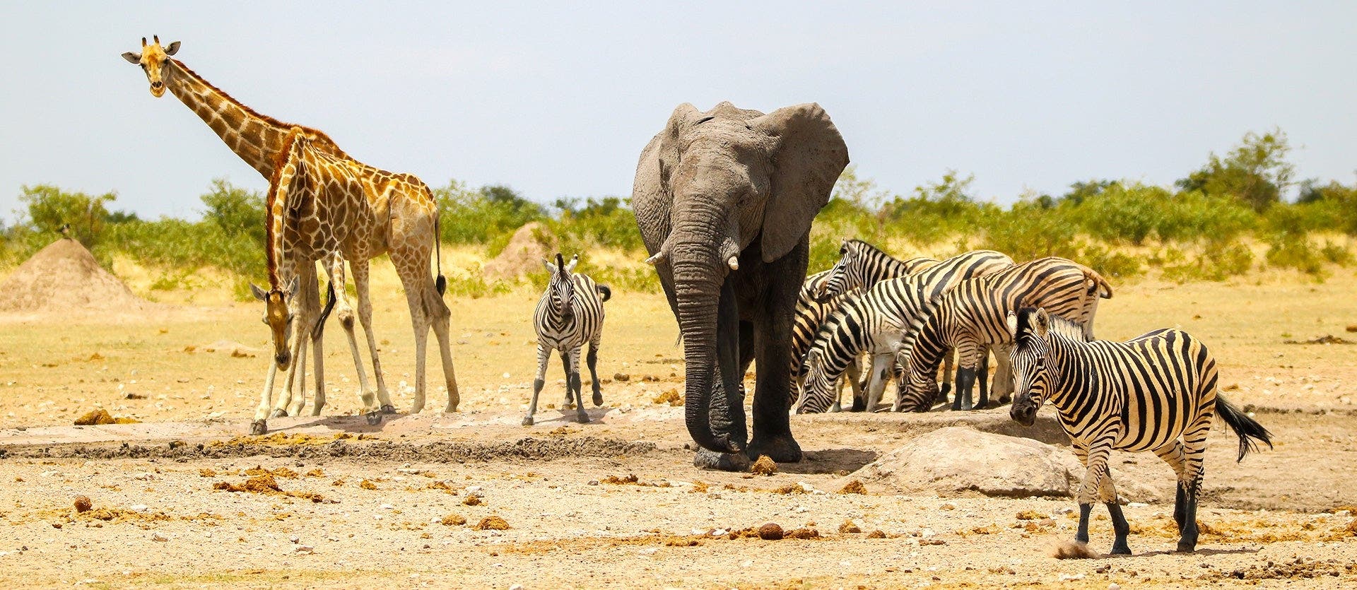 Cape Town & wild Namibian landscapes
