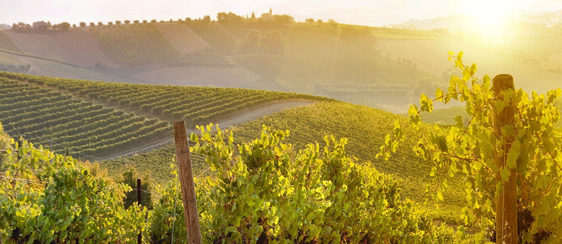 Paris to Madrid: Castles & Basque waves