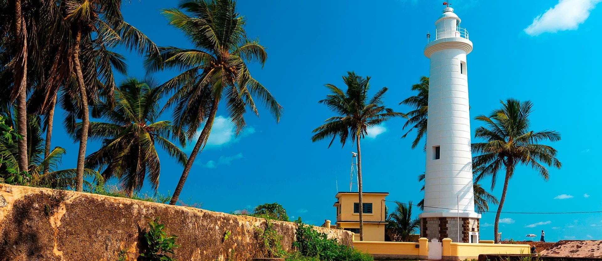 Montañas, safaris y playas de Sri Lanka