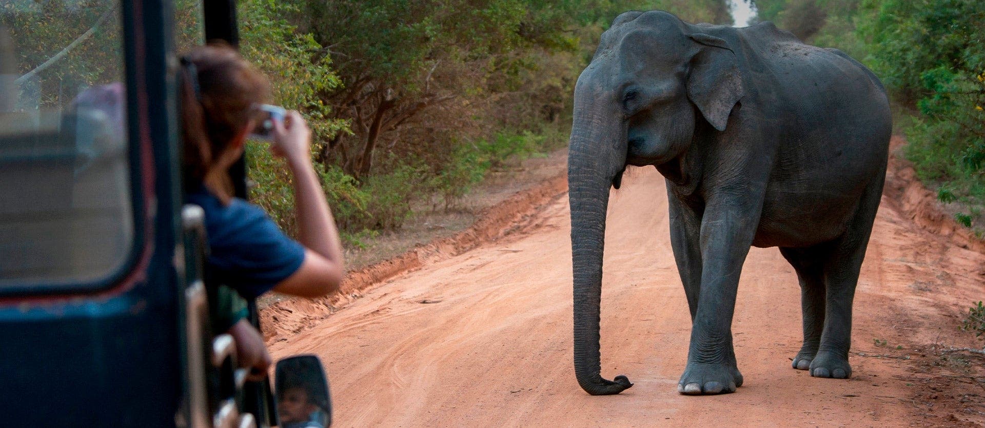 Montañas, safaris y playas de Sri Lanka
