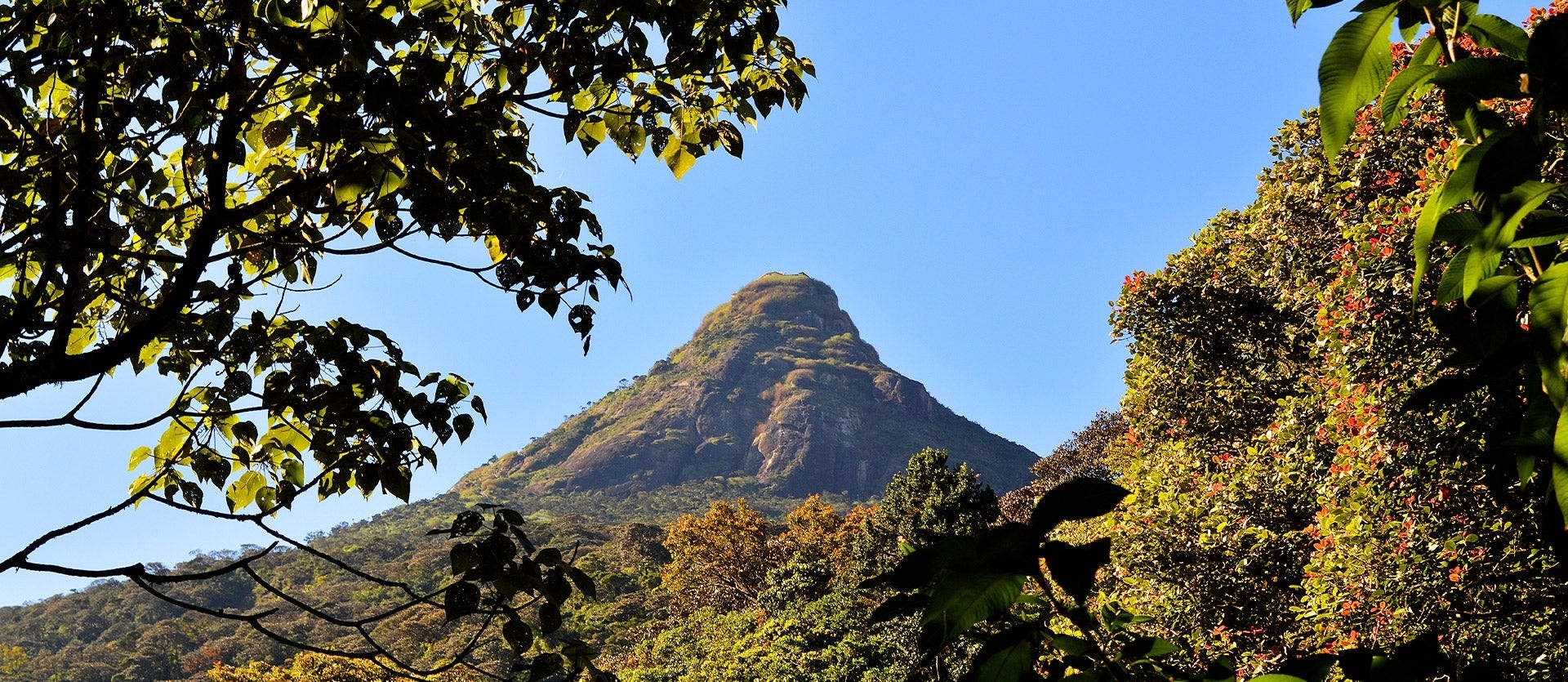 Montañas, safaris y playas de Sri Lanka