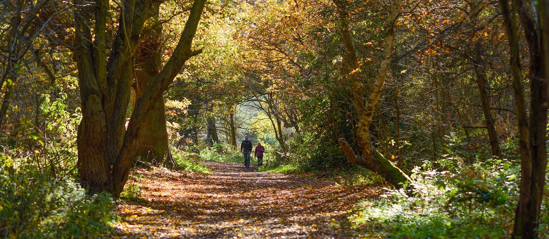 Celtic countries & storybook England